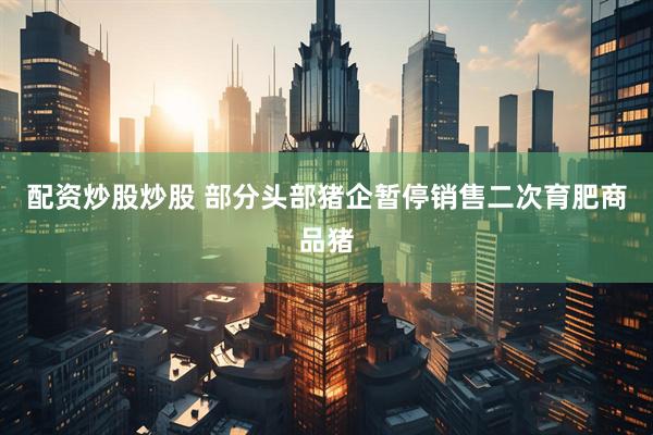 配资炒股炒股 部分头部猪企暂停销售二次育肥商品猪