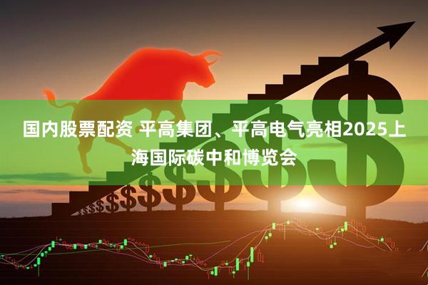 国内股票配资 平高集团、平高电气亮相2025上海国际碳中和博览会
