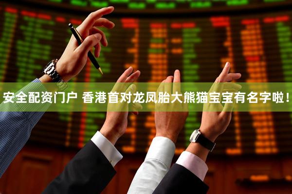 安全配资门户 香港首对龙凤胎大熊猫宝宝有名字啦！