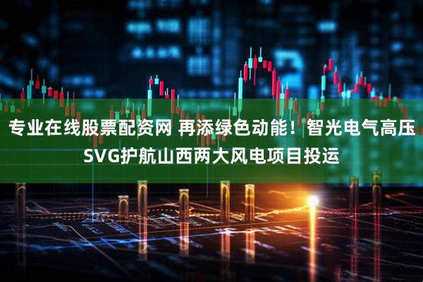 专业在线股票配资网 再添绿色动能！智光电气高压SVG护航山西两大风电项目投运