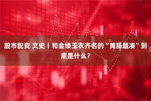 股市配资 文史丨和金缕玉衣齐名的“黄肠题凑”到底是什么？