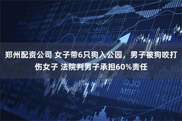 郑州配资公司 女子带6只狗入公园，男子被狗咬打伤女子 法院判男子承担60%责任