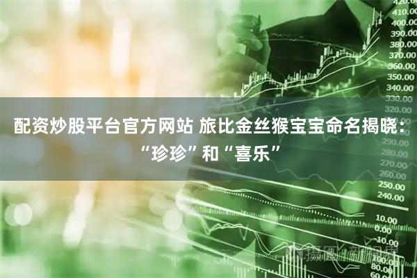 配资炒股平台官方网站 旅比金丝猴宝宝命名揭晓：“珍珍”和“喜乐”